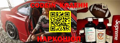 индика Кунгур