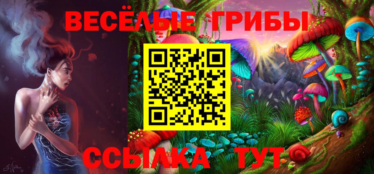 Псилоцибиновые грибы GOLDEN TEACHER Калининград
