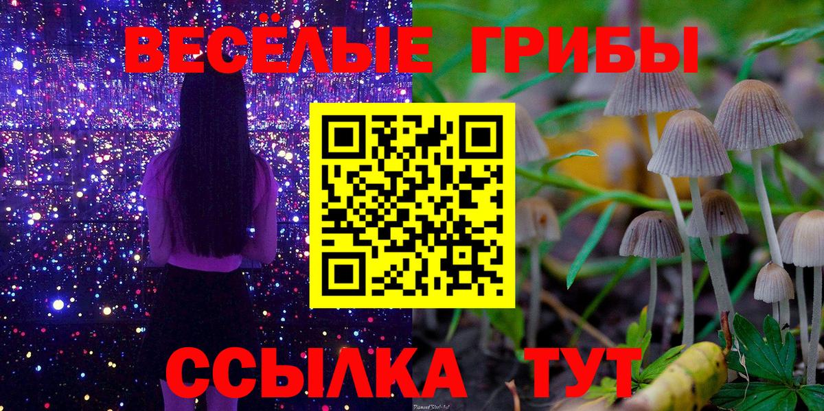 наркотики  Псилоцибиновые грибы Magic Shrooms  Вход с VPN  Калининград 